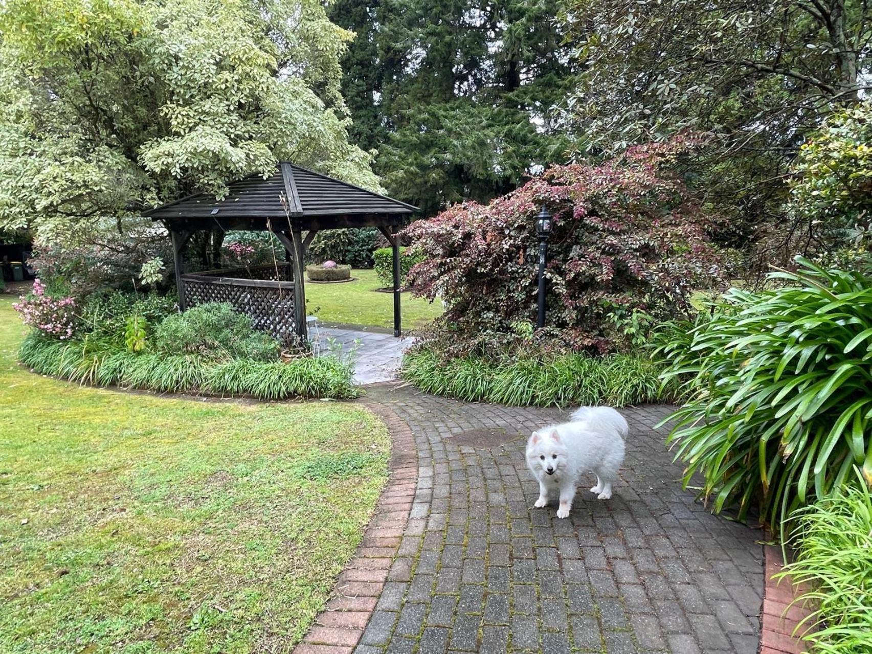 Garden Paradise In Rotorua With Pool ภายนอก รูปภาพ
